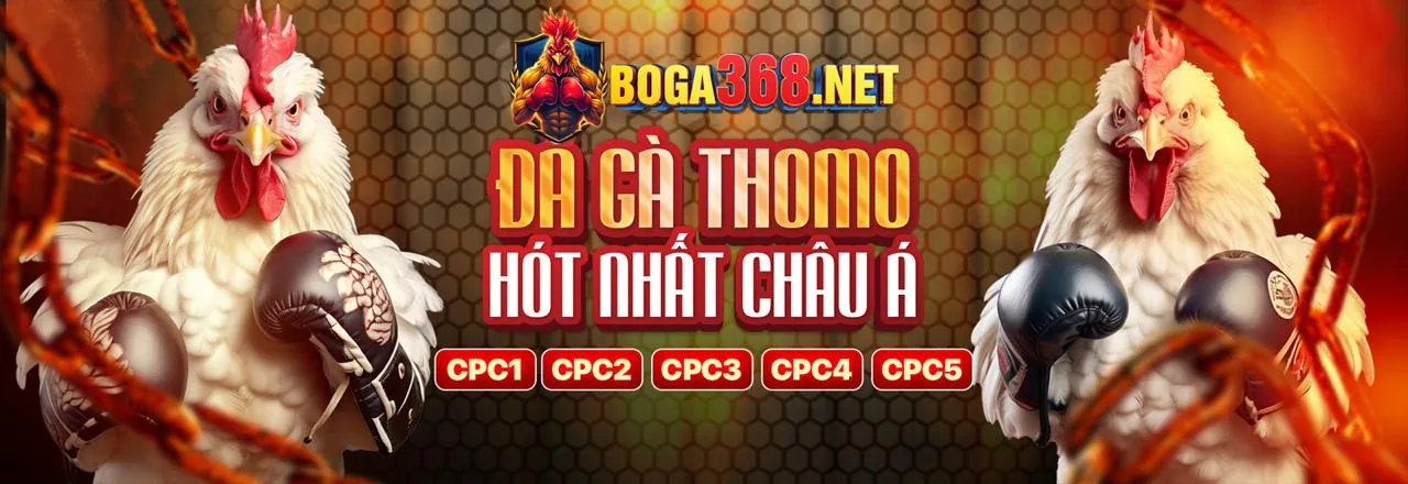 Vwin App - Nền tảng cá cược trực tuyến hàng đầu